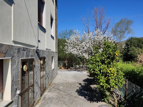 Property building, Spring, Day, Garden, Garden view