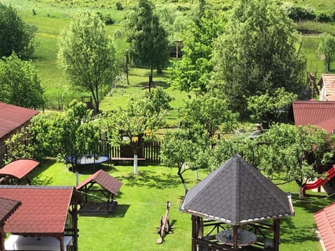 Natural landscape, Bird's eye view, Garden, Garden view