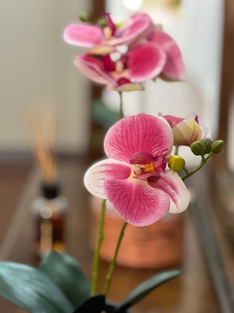 Orio easy relax 24h Airport 3 - a few steps Apartment in Bergamo