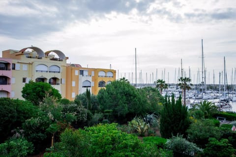 Garden, Sea view