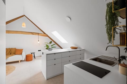 Kitchen or kitchenette, Photo of the whole room