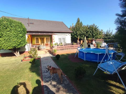 Property building, Summer, Swimming pool