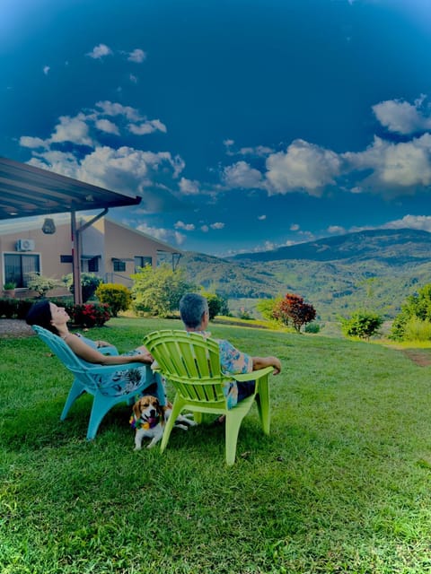 Natural landscape, Garden, Garden view, Mountain view