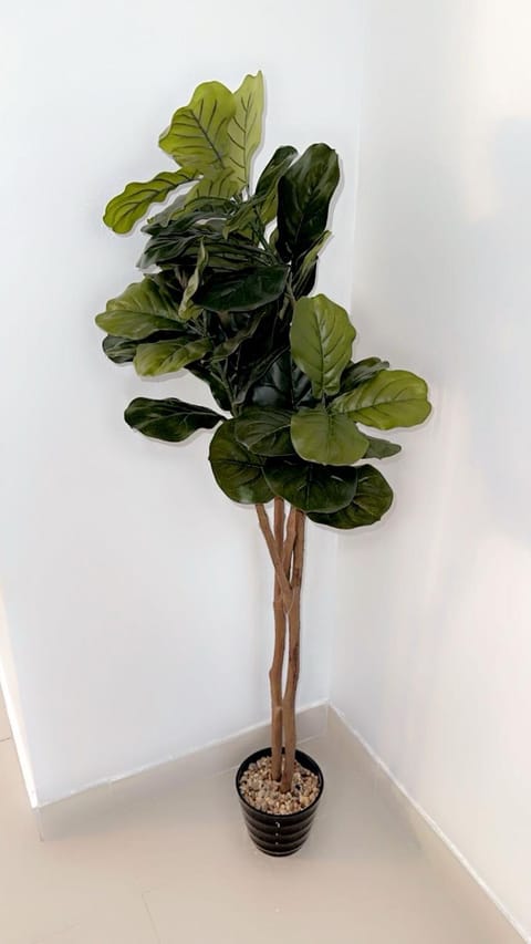 BOOK ME, 3mins Hard Rock Stadium House in Miami Gardens