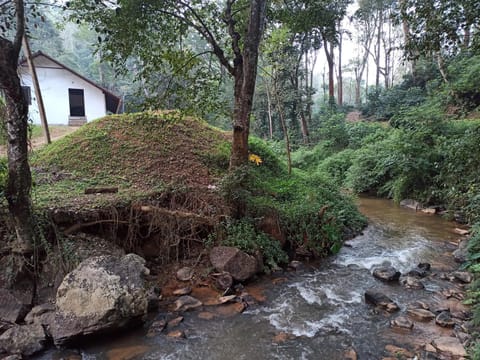 River view