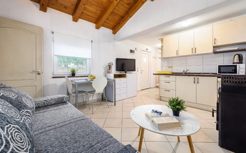 Kitchen or kitchenette, Living room, Seating area, Dining area