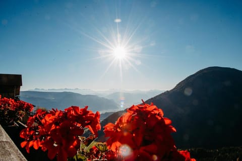 Apartment Andreas - Gallhof Apartment in Trentino-South Tyrol