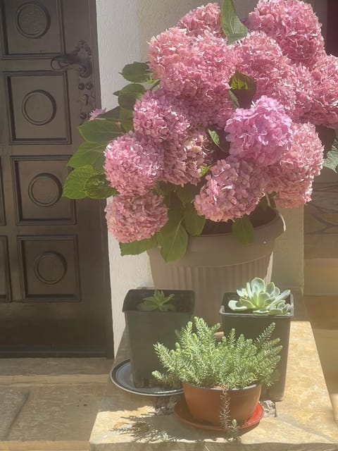 Holiday Home 1 Apartment in Šibenik-Knin County, Croatia