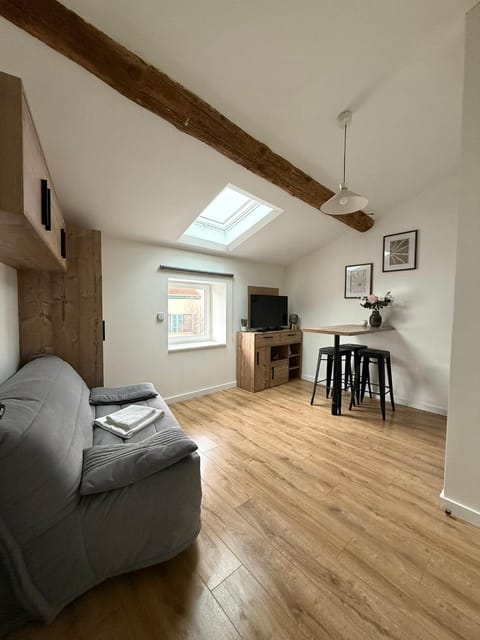 Joli Studio Champagne au Mont d'or Apartment in Lyon