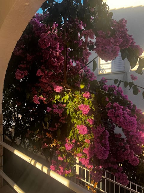 Garden view, Garden view