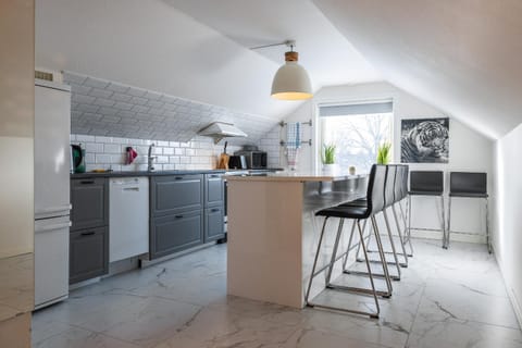 Kitchen or kitchenette, Dining area, dishwasher, oven, stove