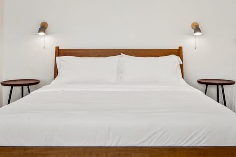 Boutique Room steps from Downtown Mall Rose Jean Room 2 Hotel in Charlottesville