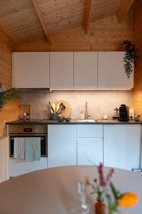 Kitchen or kitchenette, minibar, pet friendly, stove