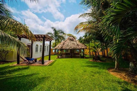 Patio, Garden