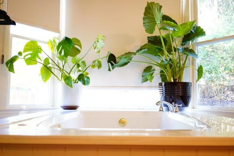 Imperial Hotel + Restaurant Hotel in Amador City