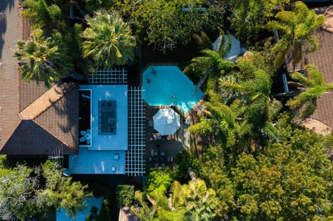 Bird's eye view, Garden, Swimming pool, sunbed