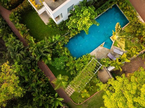 Garden, Swimming pool