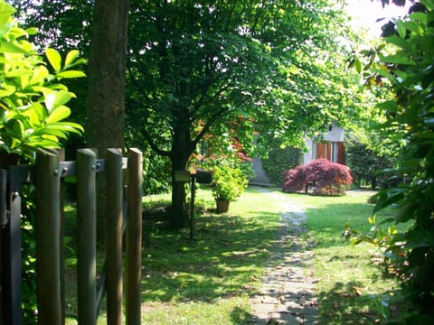 Day, Summer, Garden, Garden view
