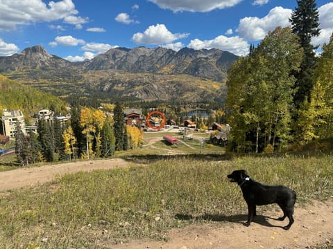 Day, Natural landscape, Pets, Mountain view