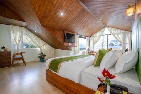 Bed, TV and multimedia, Photo of the whole room