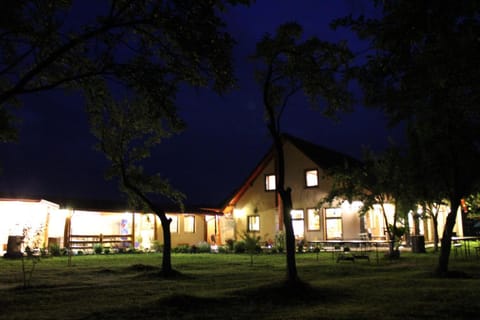 Night, Garden