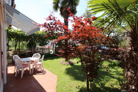 DADA A3 Apartment in Novigrad