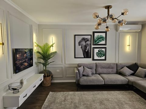 TV and multimedia, Living room, Seating area, air conditioner