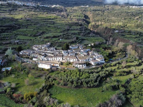 Area and facilities