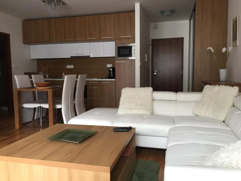 Kitchen or kitchenette, Living room