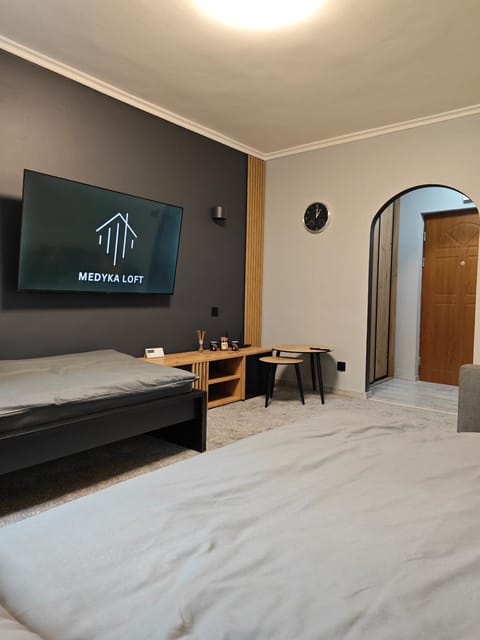 Living room, Photo of the whole room, Seating area, Bedroom