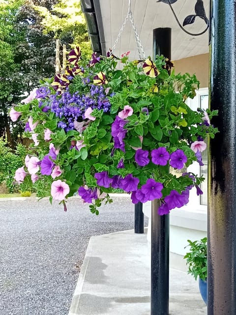 White Quarry Hse Quarry Road Country House in Meath, Co. Meath, Ireland