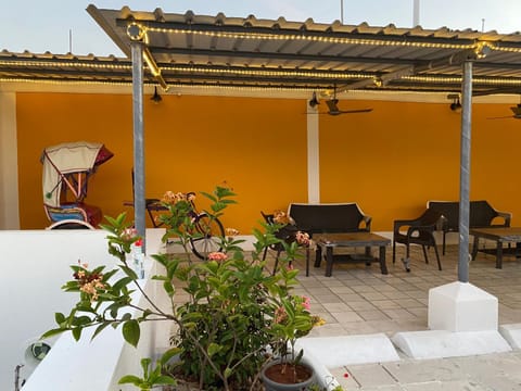 Patio, Day, Balcony/Terrace, Balcony/Terrace