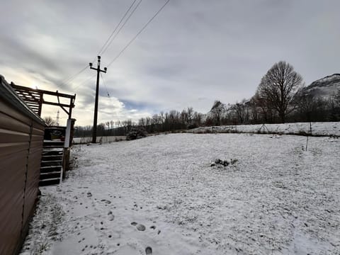 Winter