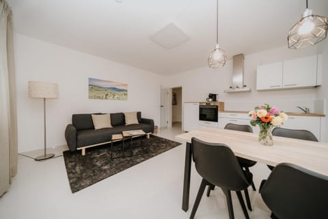 Kitchen or kitchenette, Living room, Seating area, Dining area