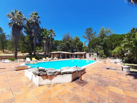 Garden, Garden view, Swimming pool, Swimming pool