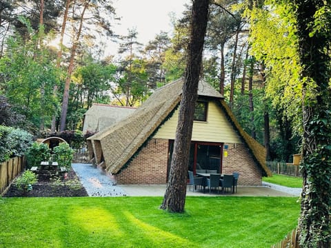 Property building, Garden view
