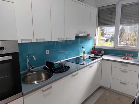 Kitchen or kitchenette, dishwasher, stove