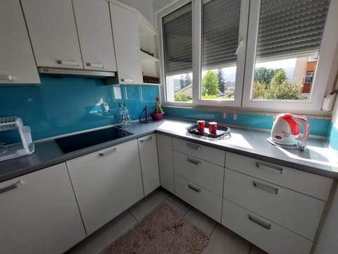 Kitchen or kitchenette, dishwasher, stove
