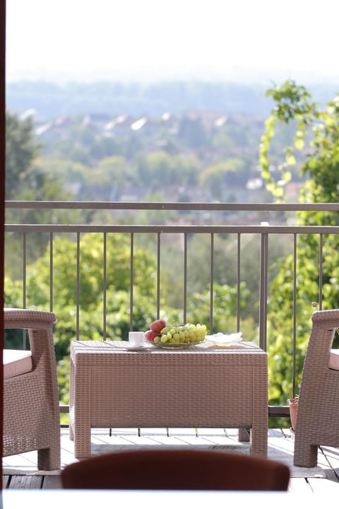 View (from property/room), Balcony/Terrace