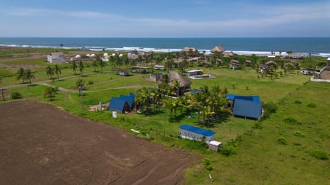 Bird's eye view, Beach