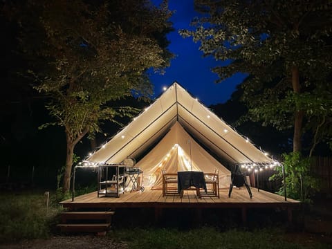 Night, Natural landscape, Photo of the whole room