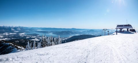 Skiing, Area and facilities