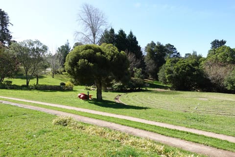 View (from property/room), Garden view