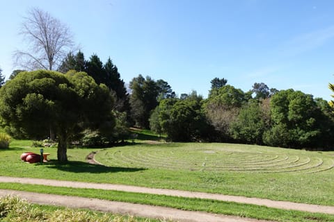 View (from property/room), Garden view