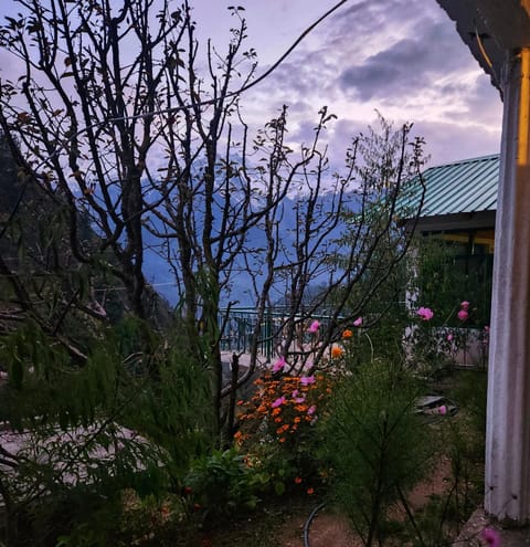 Garden, Garden view, Mountain view