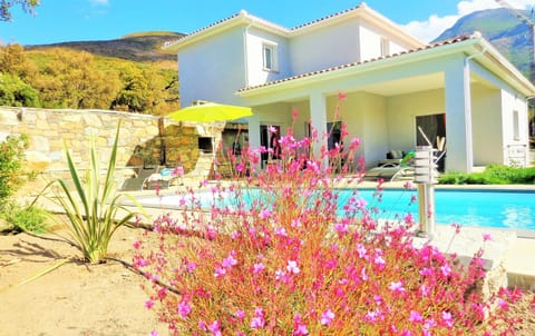 Day, Swimming pool