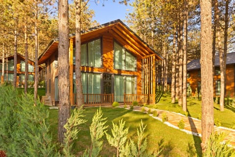 Property building, Spring, Day, Natural landscape, Garden