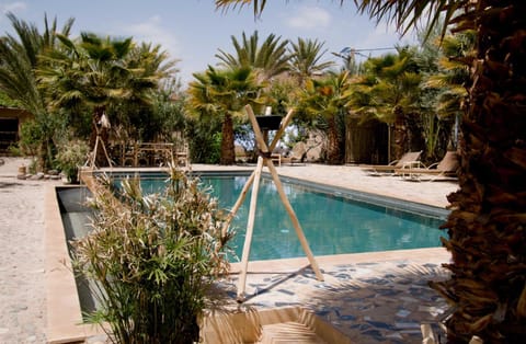 Day, Garden, Pool view, Swimming pool, sunbed