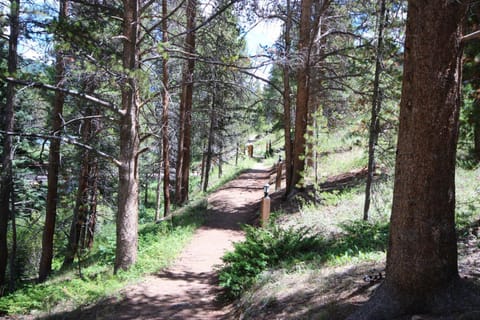 Seasons 1892 by SummitCove Lodging House in Keystone