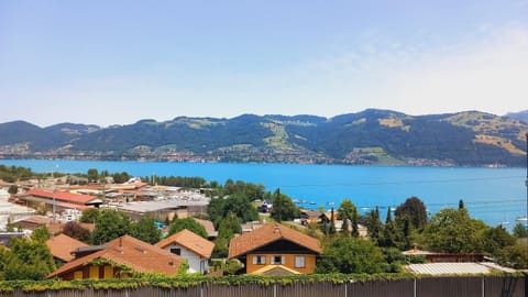 Lake view